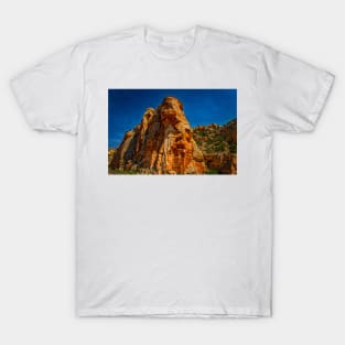 Utah Route State 12 Scenic Drive T-Shirt